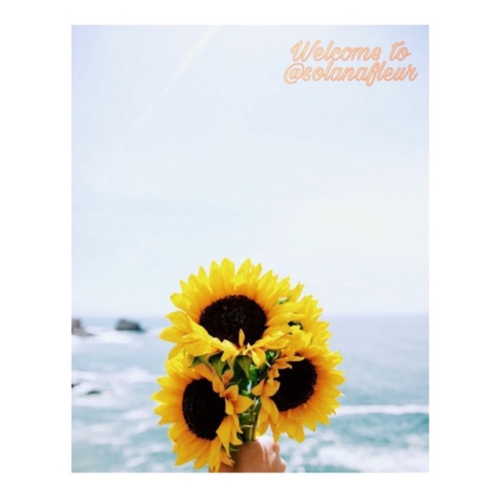 Welcome!